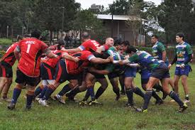 rugby leones cata