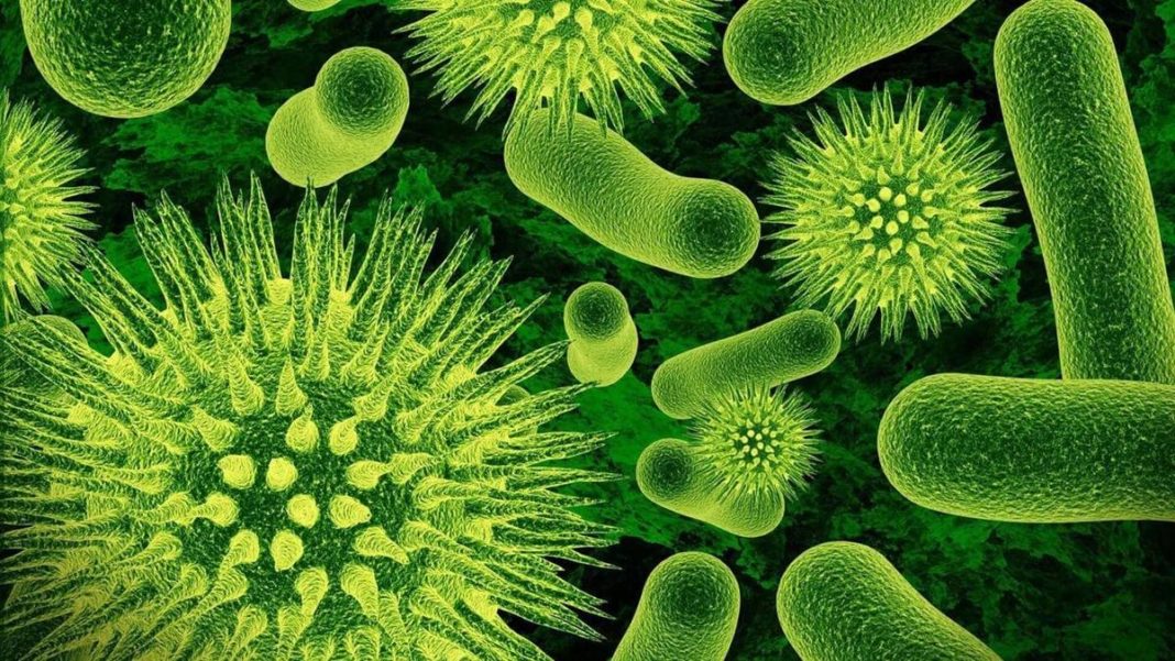 Las superbacterias y un problema que podría causar millones de muertes ...